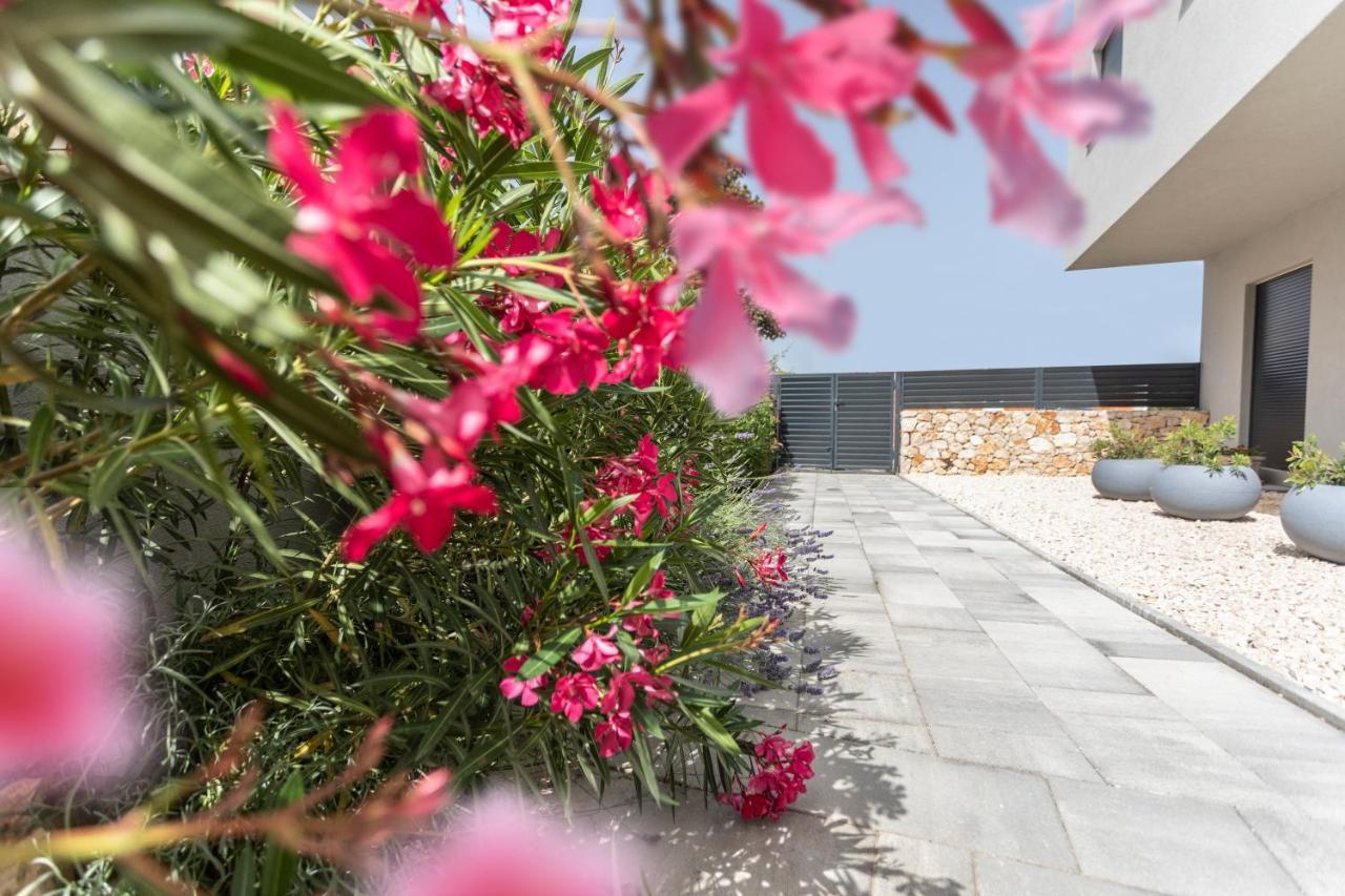 Apartamento Atena Zaton 2 Nin Exterior foto